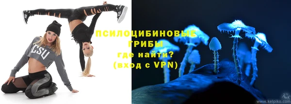 бошки Алзамай