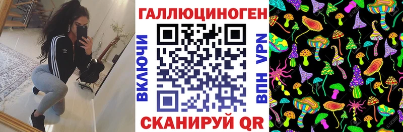 Галлюциногенные грибы MAGIC MUSHROOMS  где купить наркоту  Новая Ляля 